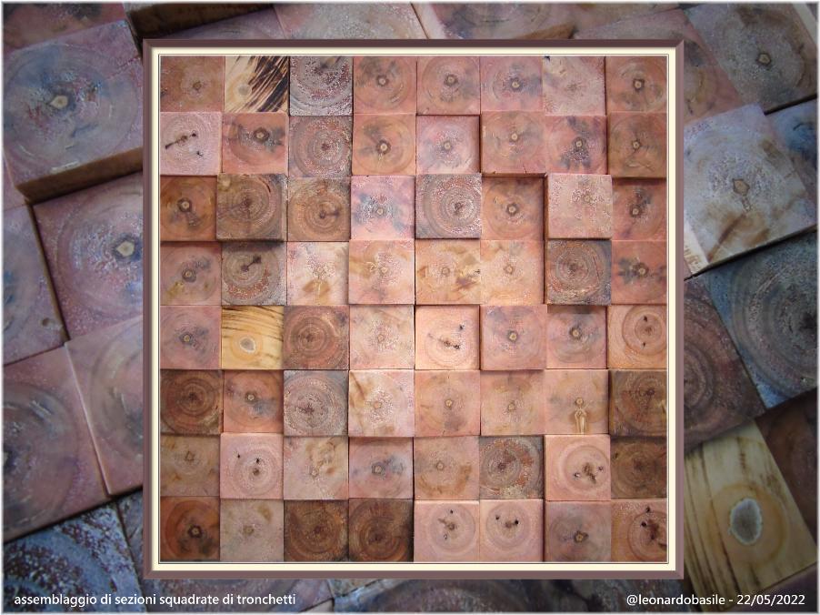 CROMOSINTESI[4] : Assiemaggio di sezioni (squadrate) di tronchetti, cm 40 x 40 - @leonardobasile - 22/05/22